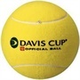 Finaliza la fase previa de la Copa Davis de Peñasol. Consulta los resultados.